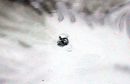 naisou26.jpg (25021 �o�C�g)